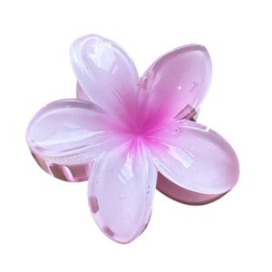 Hovedbilde Fiji H&aring;rklype Rasberry Sorbet